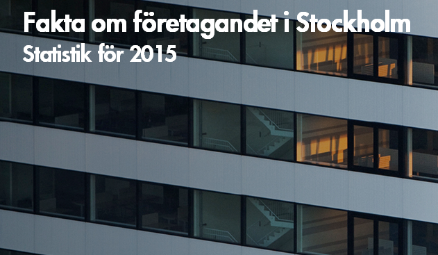 Fakta om företagandet 2015